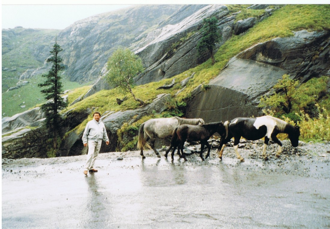 CCI22102014_00000 (14)