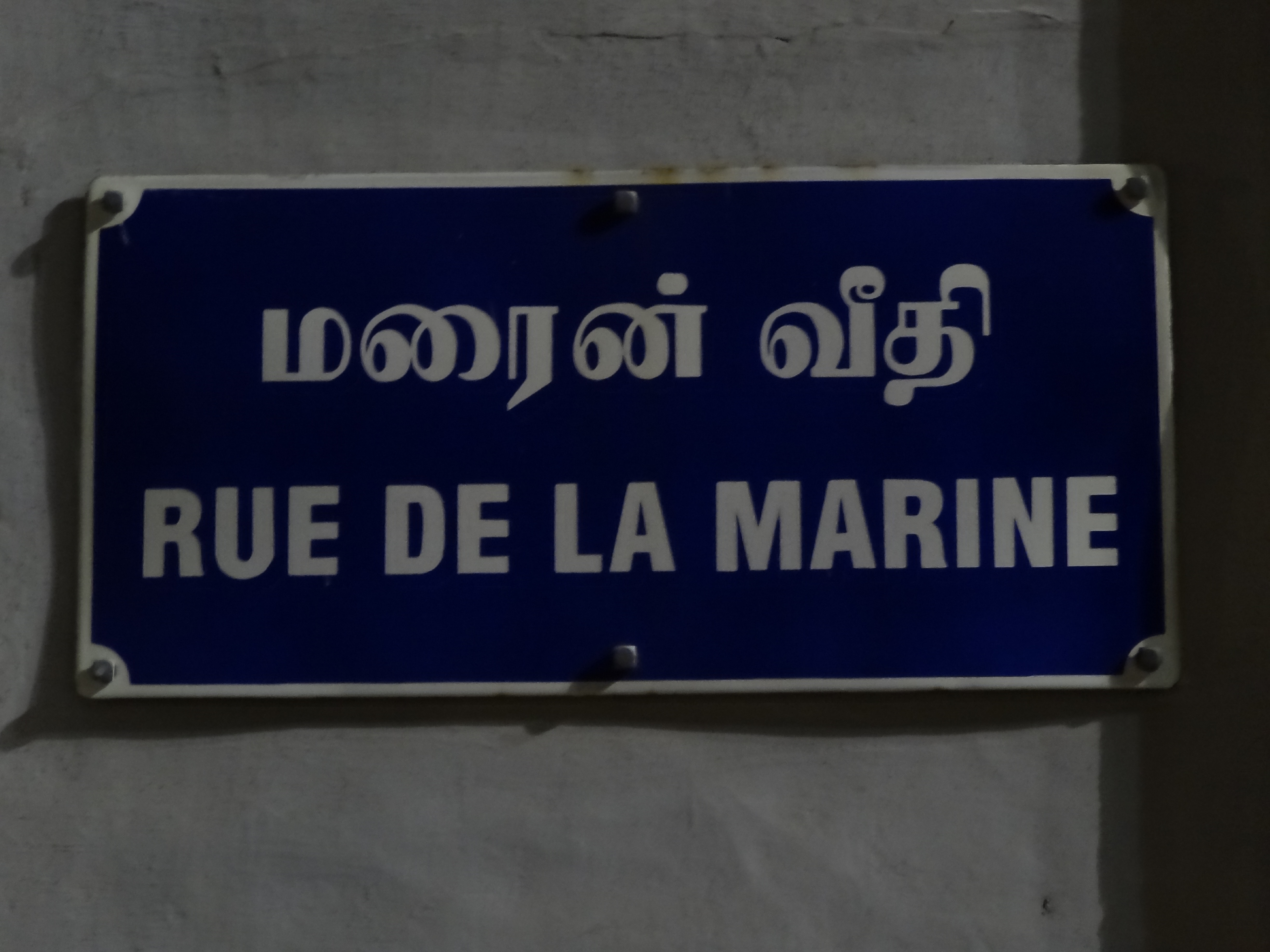 SOUTH INDIA KELRA plus FEB.2013 124.JPG