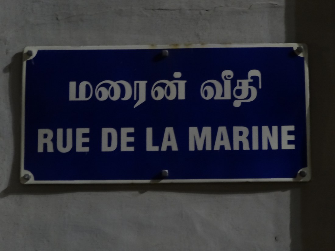 SOUTH INDIA KELRA plus FEB.2013 124.JPG