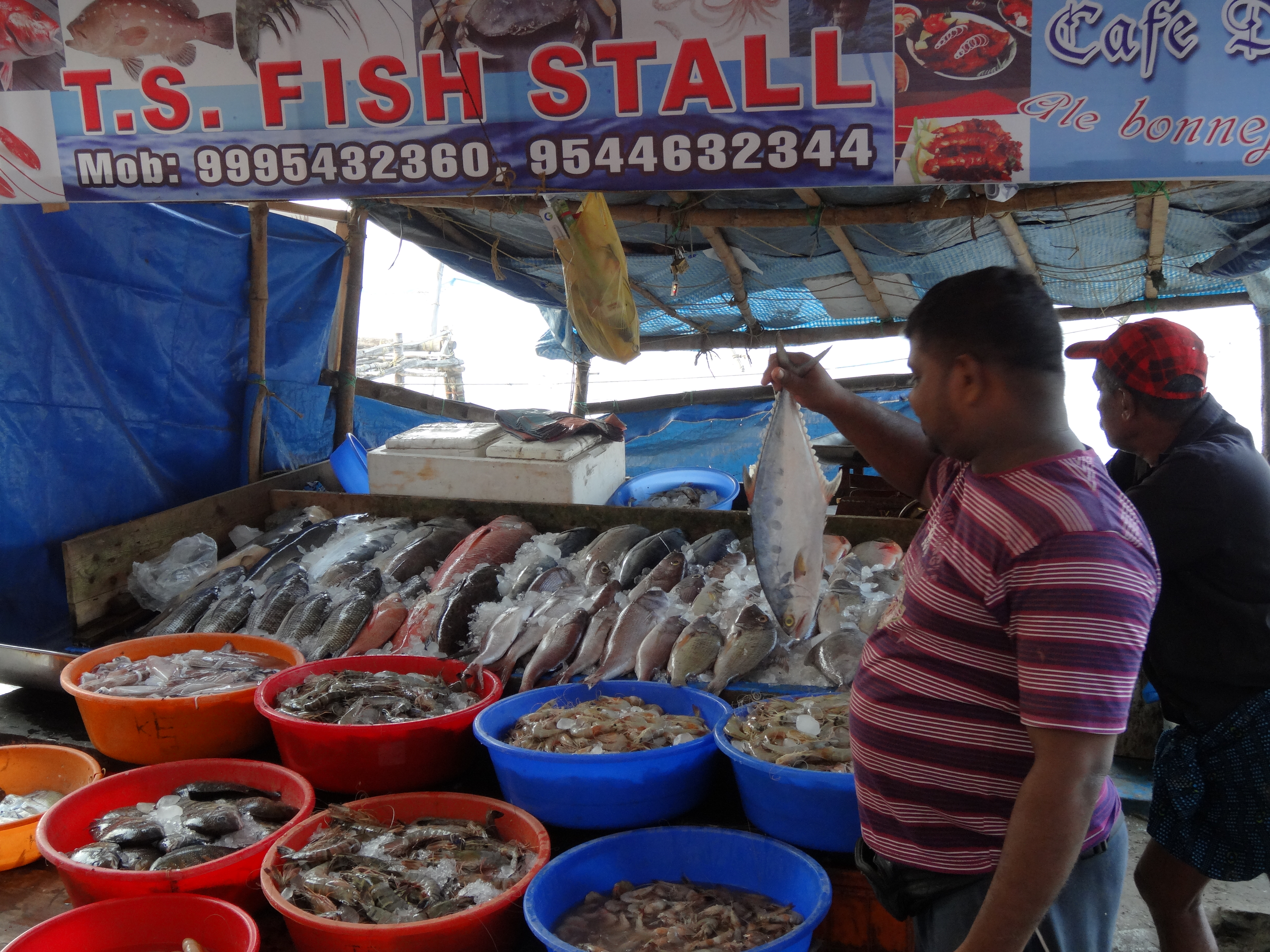 SOUTH INDIA KELRA plus FEB.2013 161.JPG