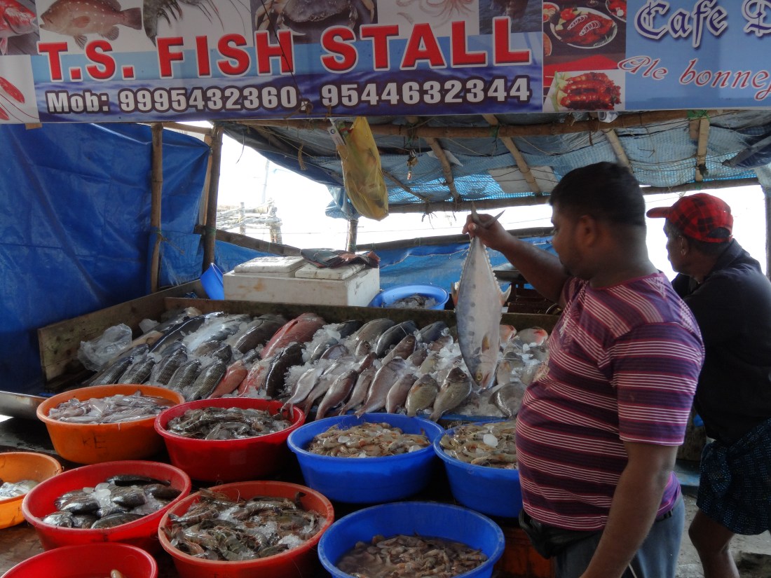 SOUTH INDIA KELRA plus FEB.2013 161.JPG