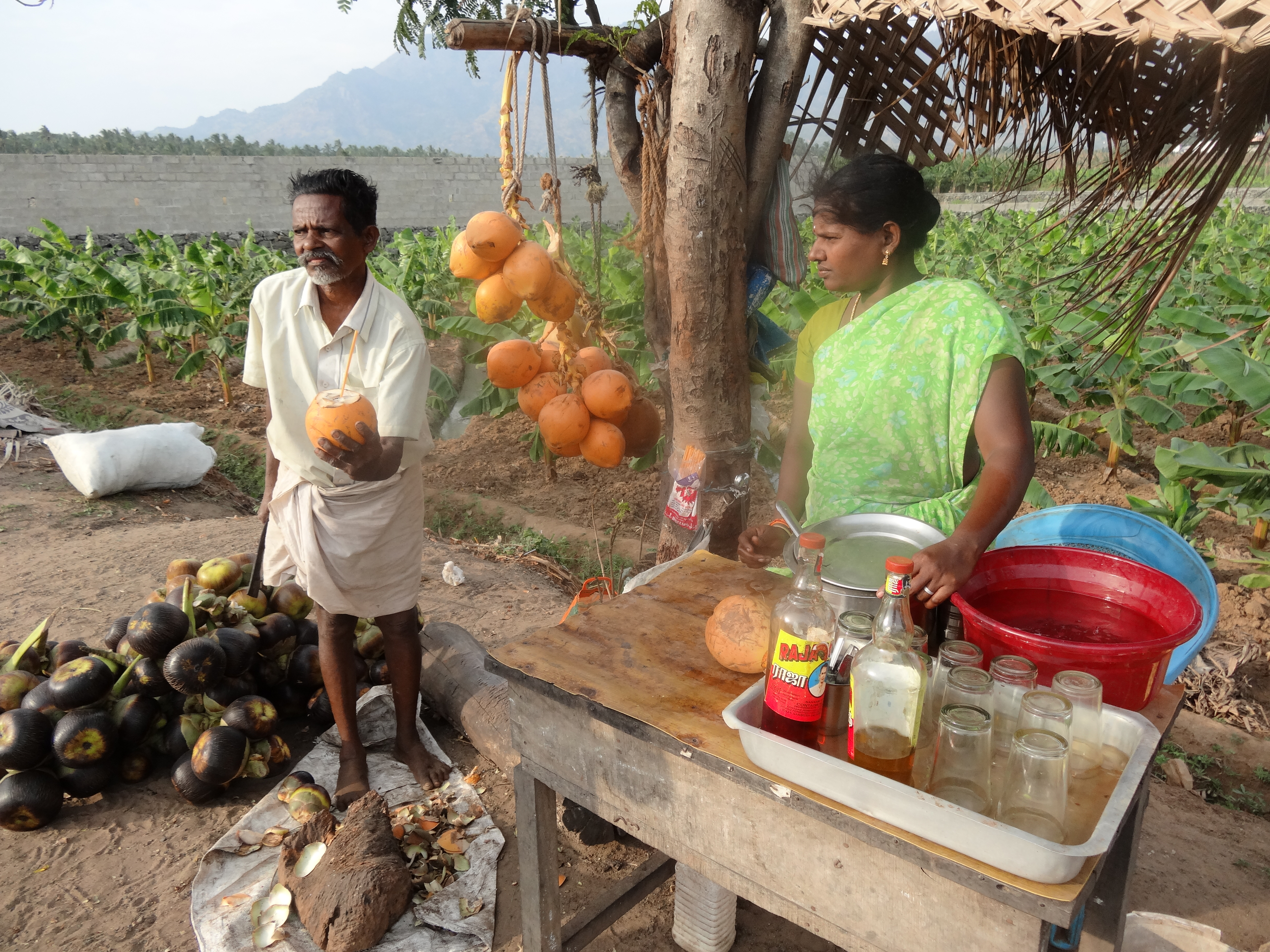 SOUTH INDIA KELRA plus FEB.2013 217.JPG