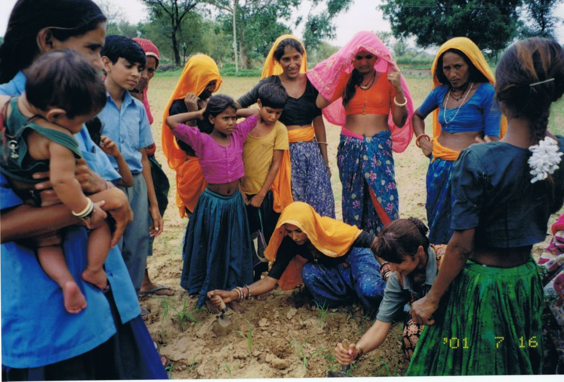 Jaipur, India 3 Villages (Sundar &amp; Naila's Goat) 4_1